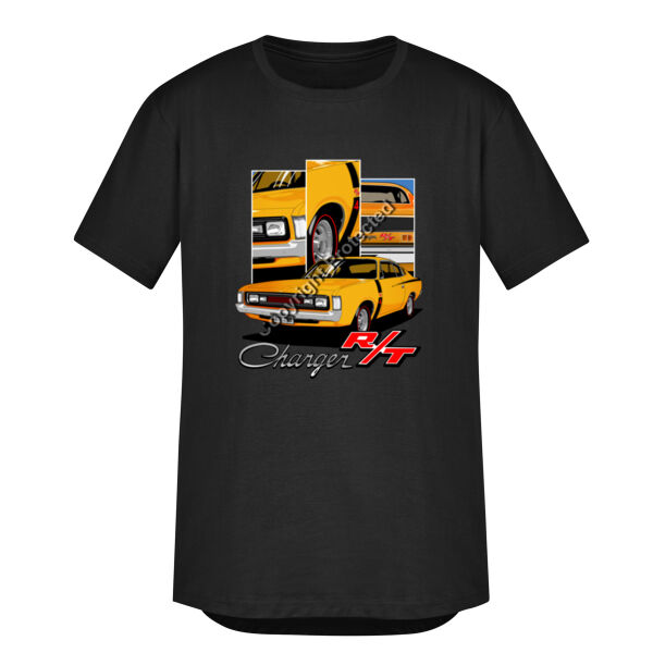 Aussie Charger E49 in a triptych Thumbnail